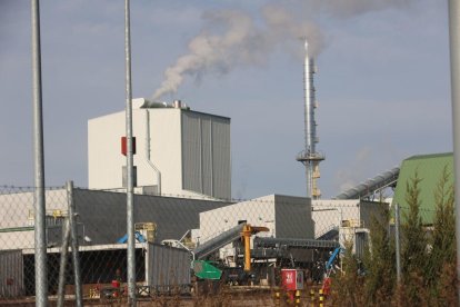 Planta de Forestalia en Cubillos del Sil.