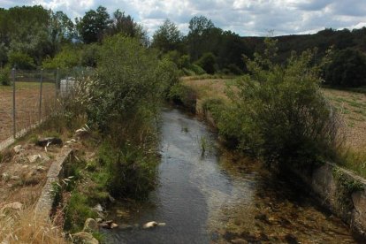 Zayas en Castrillo de la Valduerna.