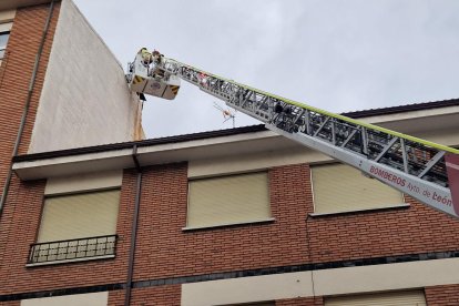 Los bomberos intentan rescatar a la gata Nora
