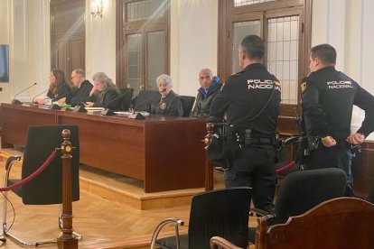 Un momento del juicio celebrado estos días en la Audiencia.