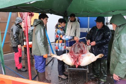 Los más jovenes van tomando el relevo en la matanza.