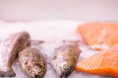 El pescado, considerado uno de los alimentos más saludables, puede contener microplásticos tras haber ingerido residuos presentes en el océano