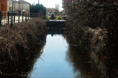Vista de un canal con maleza en Benavides de Órbigo.
