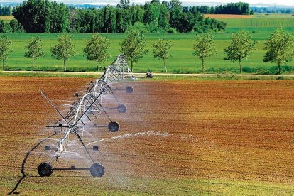 Campo de cultivo en Tierra de Campos con pivots de riego.