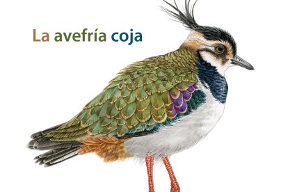 Portada del libro 'La avefría coja' del escritor Joaquín Alegre y editado por la Editorial Rimpego.