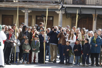 Procesión de Los Ramos en Astorga. RAMIRO