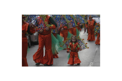 Participaron en el desfile la Peña No lo veo, la Peña Pimentón Picante, la peña Lección de Humor, la peña La Corona, el grupo el Secreto del Puente Boeza, Equipo Utopía, el grupo el Patio Escuela de Artistas, el colegio Campo de los Judíos, la Asociación Cultural Vegandres, el grupo Amigos Flores Existe y el grupo El Gallinero. LUIS DE LA MATA