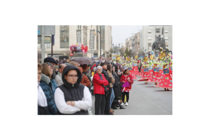 Participaron en el desfile la Peña No lo veo, la Peña Pimentón Picante, la peña Lección de Humor, la peña La Corona, el grupo el Secreto del Puente Boeza, Equipo Utopía, el grupo el Patio Escuela de Artistas, el colegio Campo de los Judíos, la Asociación Cultural Vegandres, el grupo Amigos Flores Existe y el grupo El Gallinero. LUIS DE LA MATA