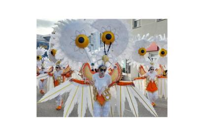 Carnaval Vega de Espinareda. DL
