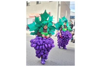 Carnaval Vega de Espinareda