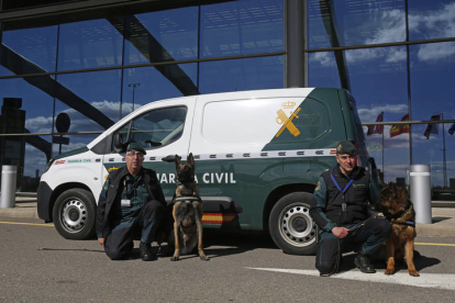 El Servicio cinológico de perros de la Guardia Civil. FERNANDO OTERO