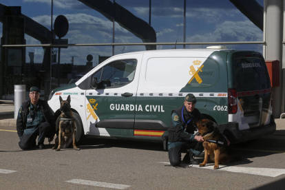 El Servicio cinológico de perros de la Guardia Civil. FERNANDO OTERO