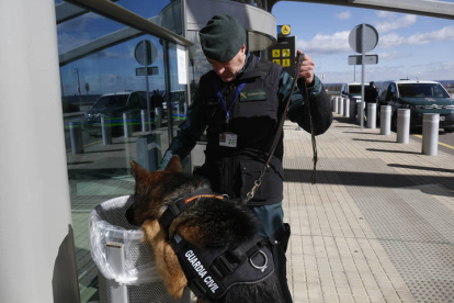 El Servicio cinológico de perros de la Guardia Civil. FERNANDO OTERO