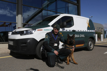 El Servicio cinológico de perros de la Guardia Civil. FERNANDO OTERO