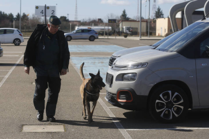 El Servicio cinológico de perros de la Guardia Civil. FERNANDO OTERO