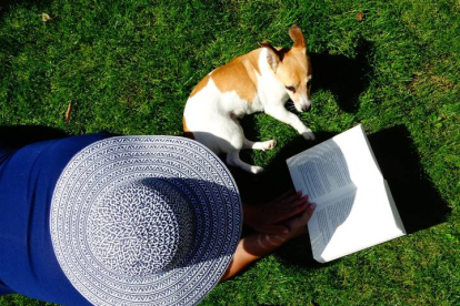 Una mujer lee un libro en una pradera junto a su perro. Besquest