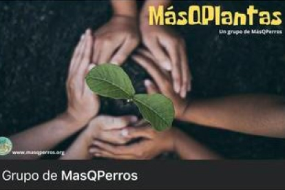Página de inicio en Facebook del nuevo grupo MasQPlantas.