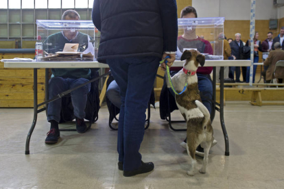 Un hombre acude a votar con su perro. VILLAR LÓPEZ