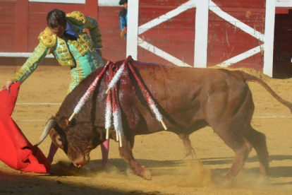 Imagen de un festejo taurino celebrado en la plaza de toros de Valencia de Don Juan. MEDINA