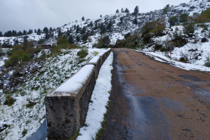 Los copos de nieve han caído en varios puntos de la provincia. CAMPOS