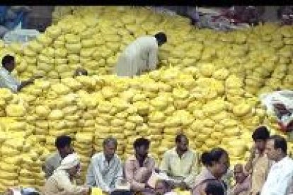 La Agencia Española de Cooperación Internacional (AECI) ha llegado a Pakistán con equipos de rescate y material de socorro para las víctimas del terremoto.