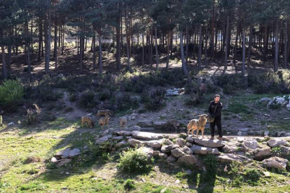 Los alumnos de Ingeniería Forestal y del Medio Natural visitaron hace poco el Centro del Lobo Ibérico. DL