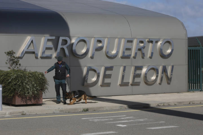 El guardia civil Ricardo con Raisa, enfocada en la búsqueda de explosivos. FERNANDO OTERO PERANDONES