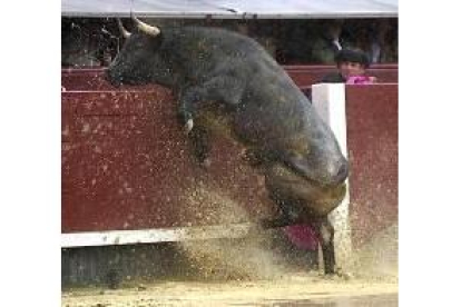El segundo toro de la tarde, Segador, intenta saltar la barrera tras salir de los chiqueros