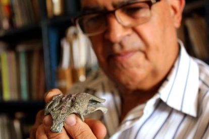 El investigador Fernando Navas muestra unos restos óseos del ‘Burkesuchus mallingrandensis’. ANDRÉS BELLO UNIVERSITY
