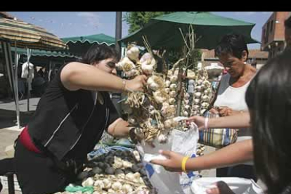 Los ajos cuestan desde los 12 euros las ristras de 24 ó 22 cabezas a  5 las de 8 ó 10 cabezas. Los precios se mantuvieron firmes a lo largo de todo el día dependiendo del lugar del puesto, después bajaron todos.