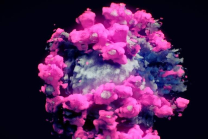 Imagen real y en tres dimensiones de un coronavirus. EFE