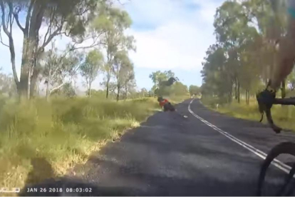 Captura del vídeo en el momento en el que el canguro salta por sorpresa encima de la ciclista.