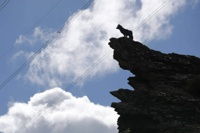 Escultura de un lobo en el alto de la montaña en las proximidades de Buiza de Gordón. JESÚS F. SALVADORES