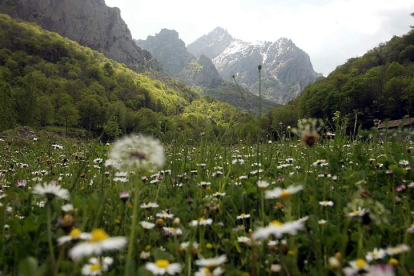 Asturias asume este año la presidencia de la gestión del parque. En la imagen, la zona leonesa de Posada de Valdeón.