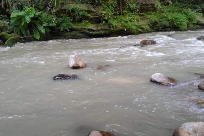 Estado del río Cabrera este pasado sábado a la altura de Robledo de Losada. DL