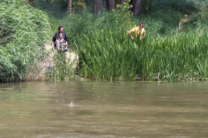 Miembros del Seprona y de la Policía Local de Simancas rastrean el río en busca del cocodrilo. R. GARCÍA