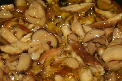 Los Boletus edulis son uno de los hongos más apreciados en la cocina. dl