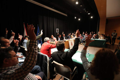 Los alcaldes del Bierzo, en la imagen en un pleno del Consejo, están invitados al acto. ANA F. BARREDO