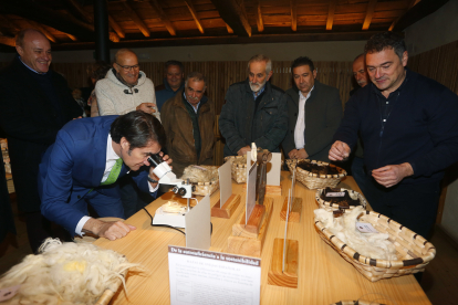 El consejero de Fomento y Medio Ambiente, Juan Carlos Suárez-Quiñones, inaugura en Salomón el 'Ecomuseo de la lana merina trashumante'