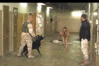 Los periódicos norteamericanos no se cansan de mostrar nuevas fotos sobre las torturas que inflingieron los estadounidenses a sus presos iraquíes.