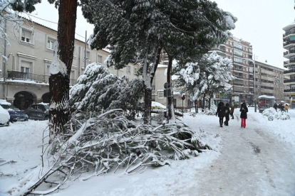 Uno de los rincones de la ciudad de Madrid que 'Filomena' ha cubierto de nieve. EFE