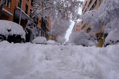 Árboles caídos por el peso de la nieve en el distrito de Arganzuela de Madrid. JORGE LÓPEZ