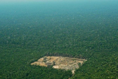 Un terreno deforestado en el estado brasileño de Amazonas.