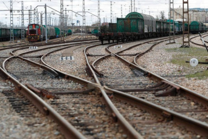 Trenes de mercancías en la playa ferroviaria del Acceso Sur a la capital leonesa. JESÚS F. SALVADORES