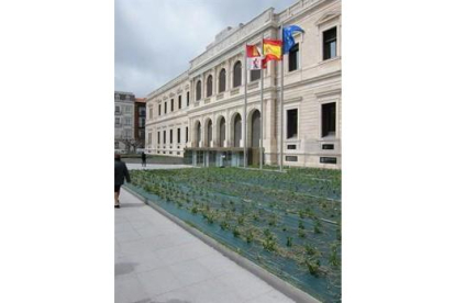 El Tribunal Superior de Castilla y León.