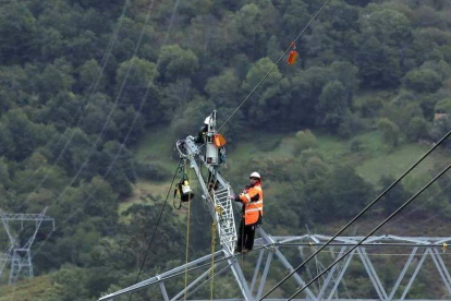 Técnicos de Red Eléctrica colocando salvapájaros. DL