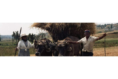 Los dos vecinos de Santa María del Monte del Condado que aparecen, junto a su carro y las vacas ‘uñidas’, en la portada del libro.