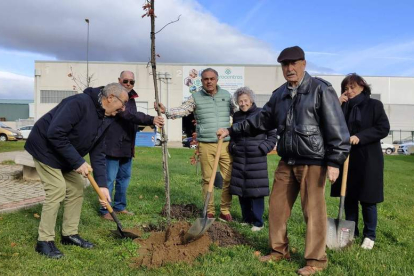 Plantado de árboles por la Asociación de Parkinson de Astorga. DL
