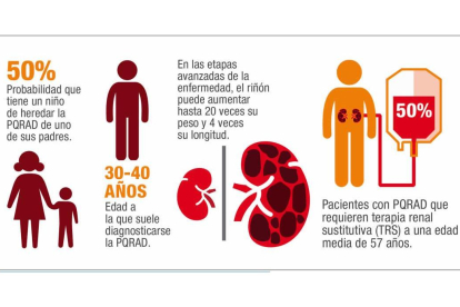 Infografías extraídas del ‘Libro Blanco de la Poliquistosis Renal Autosómica Dominante en España’. DL