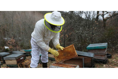 Un apicultor, en sus colmenas en un pueblo de la provincia de León. RAMIRO
